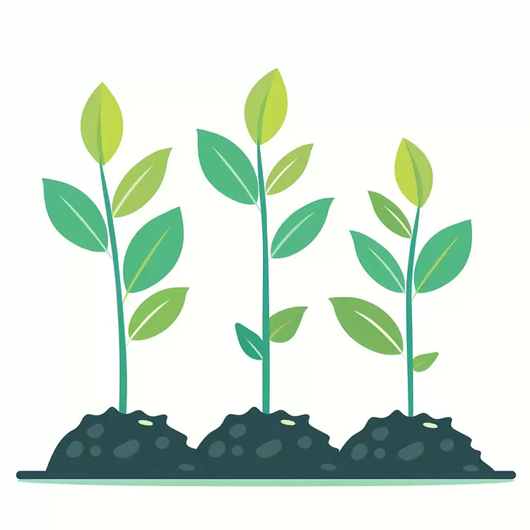 growth