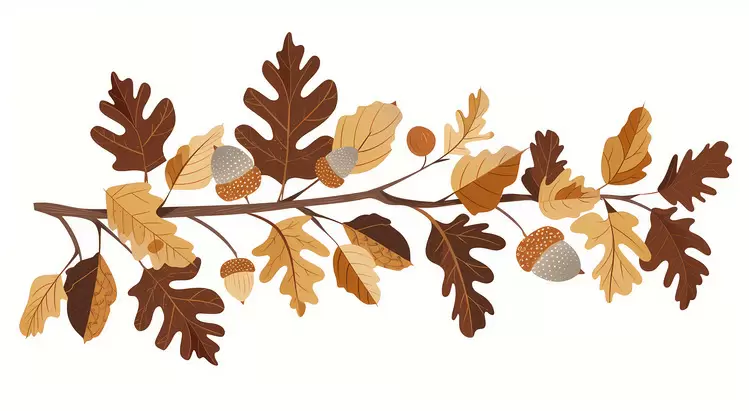 acorns Autumn Branch