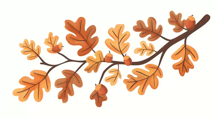Autumn Branch acorns