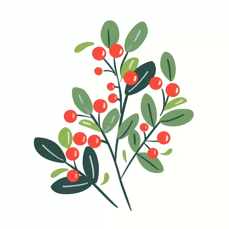 Christmas holly
