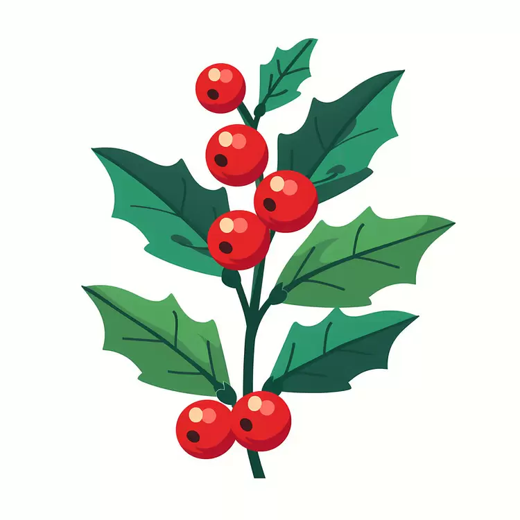 Christmas holly