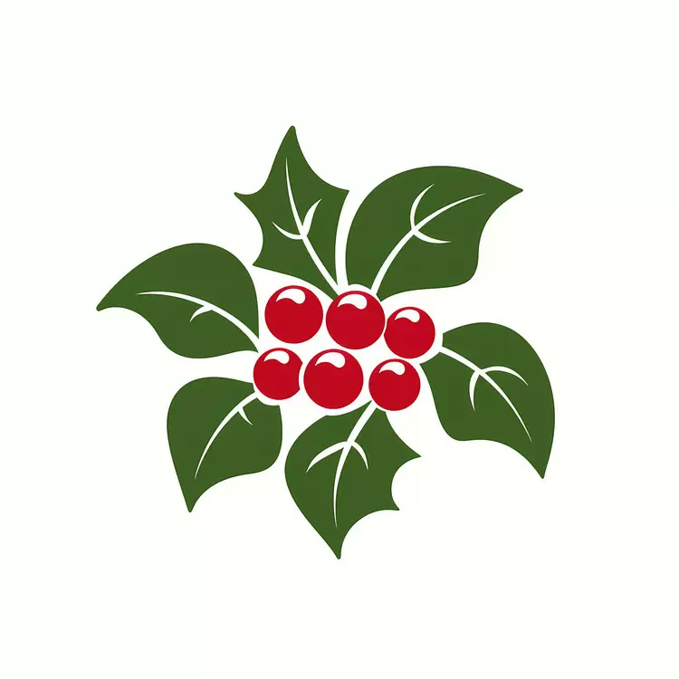 Christmas holly