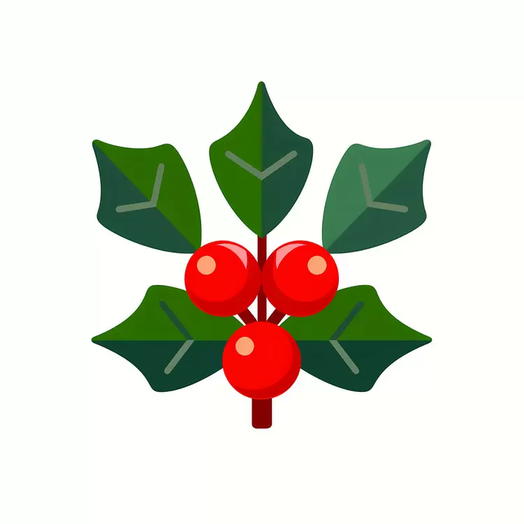 Christmas holly