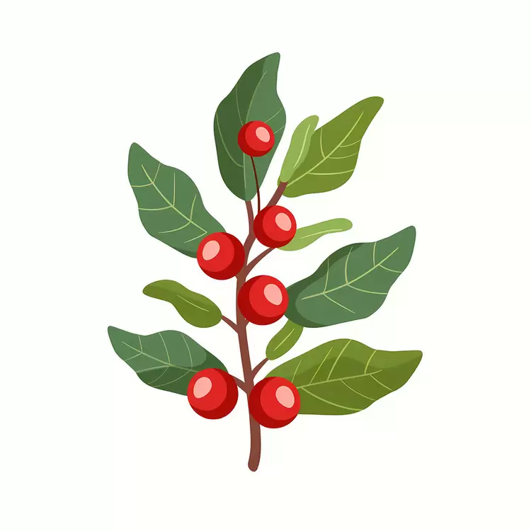 Christmas holly