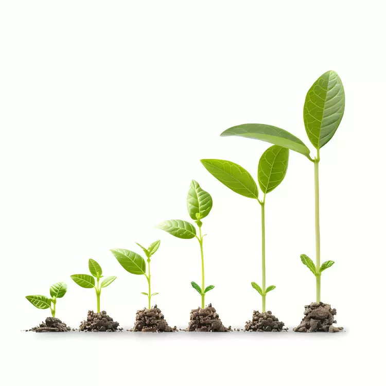 growth