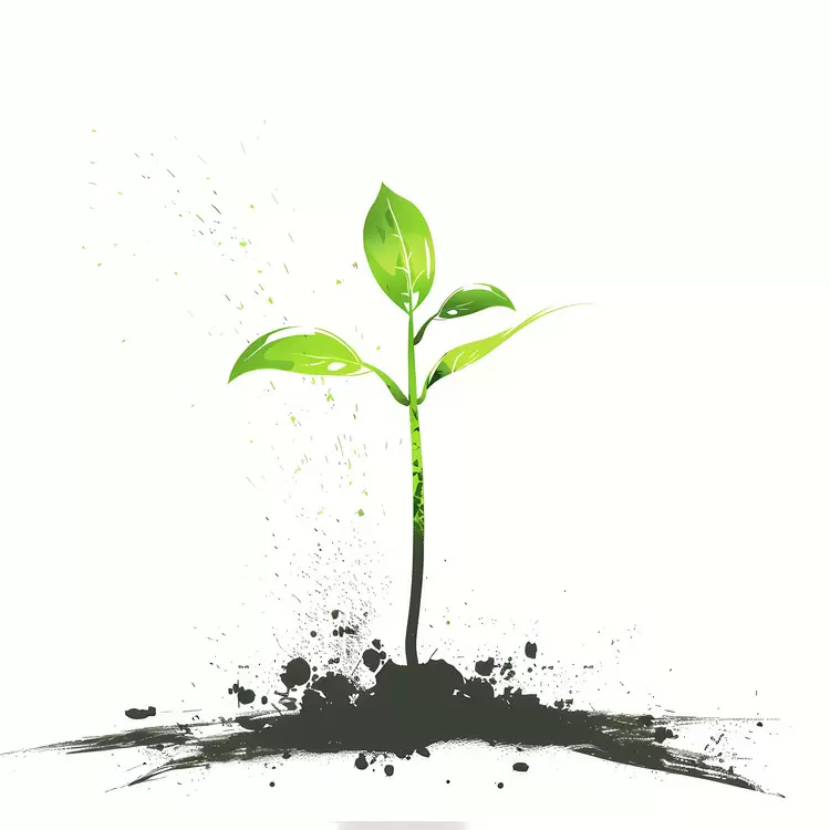 growth