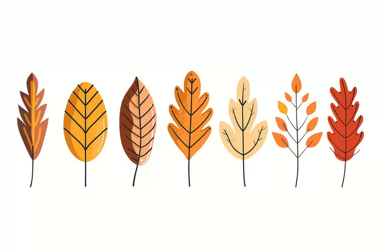 Autumn Leaves Fall Leaves,