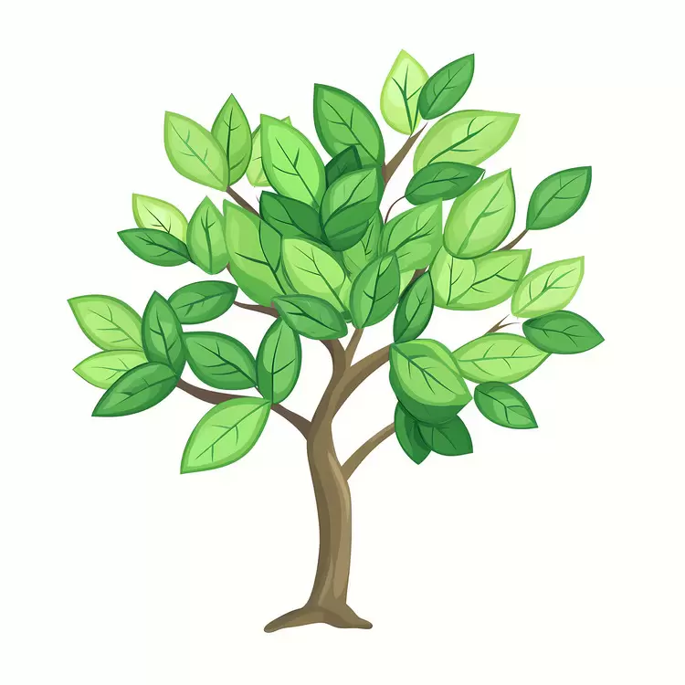 Dense Tree
