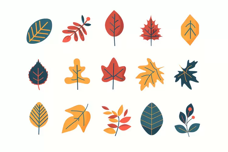 Fall Leaves, Autumn Leaves