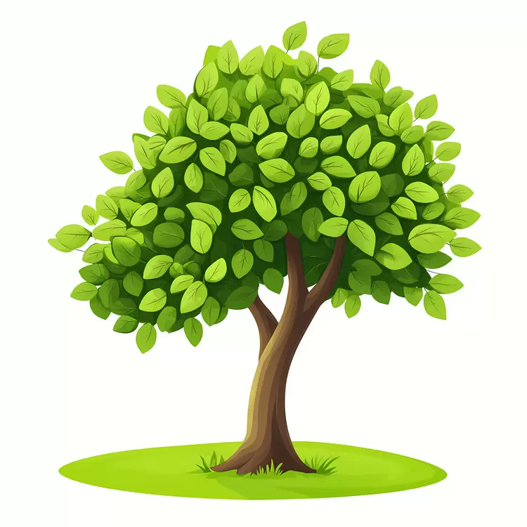 Dense Tree