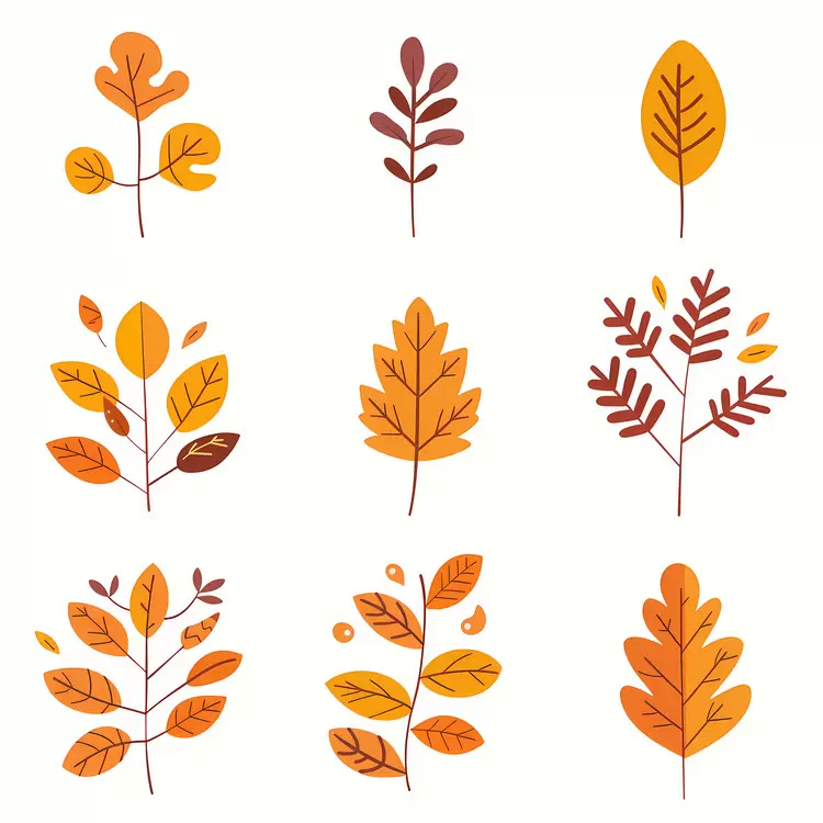 Fall Leaves, Autumn Leaves