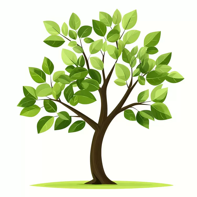 Dense Tree