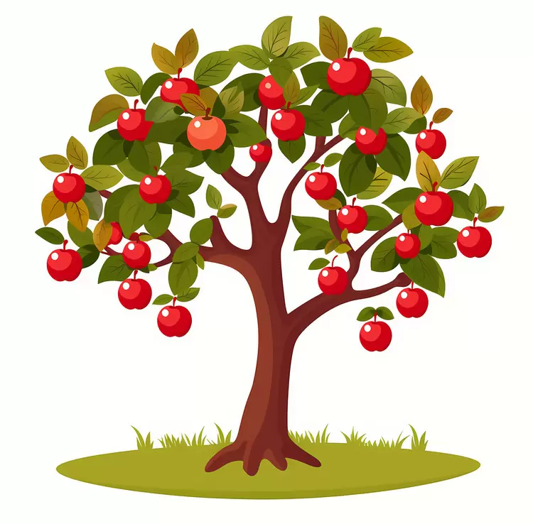 Apple Tree