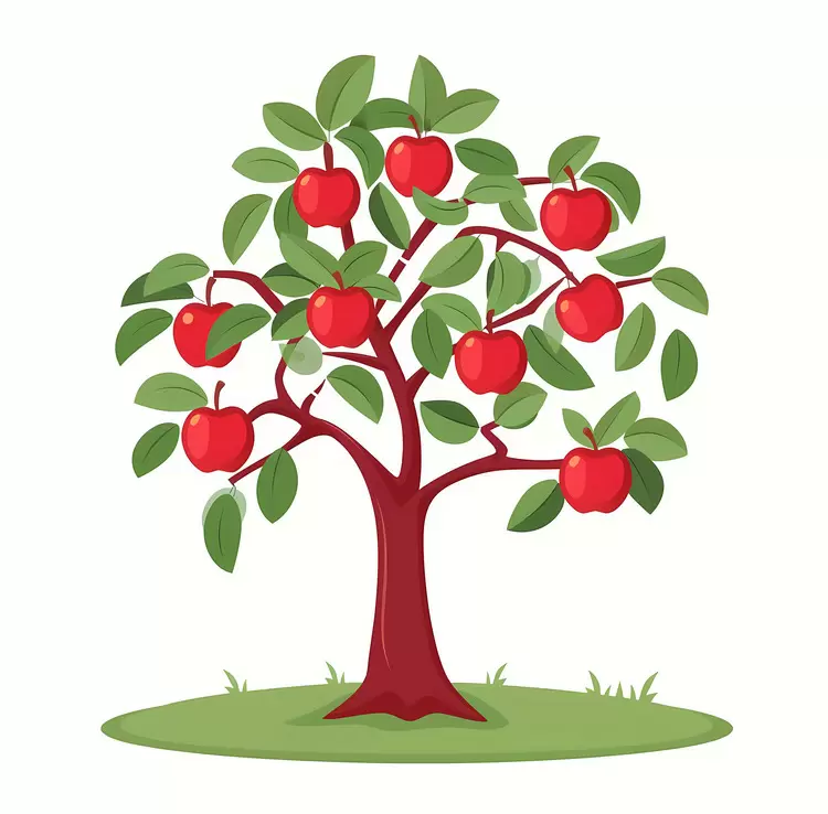 Apple Tree