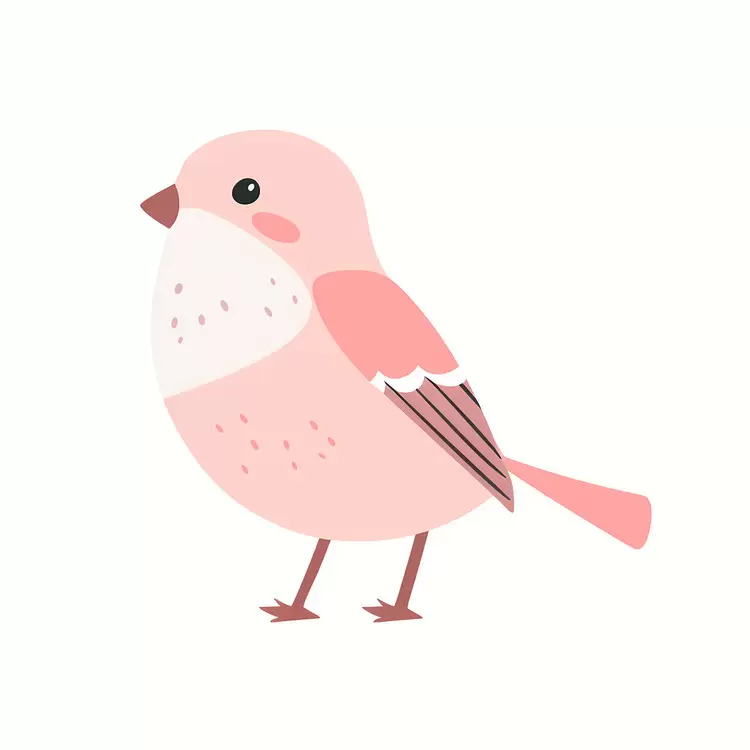 Cute bird cartoon bird
