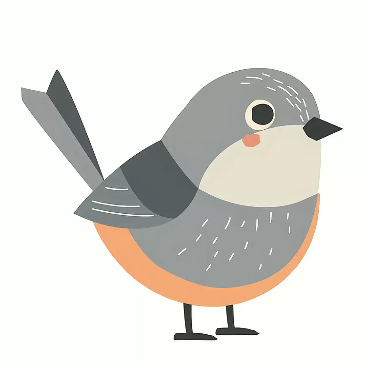 cartoon bird Cute bird