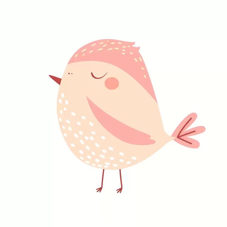 cartoon bird Cute bird
