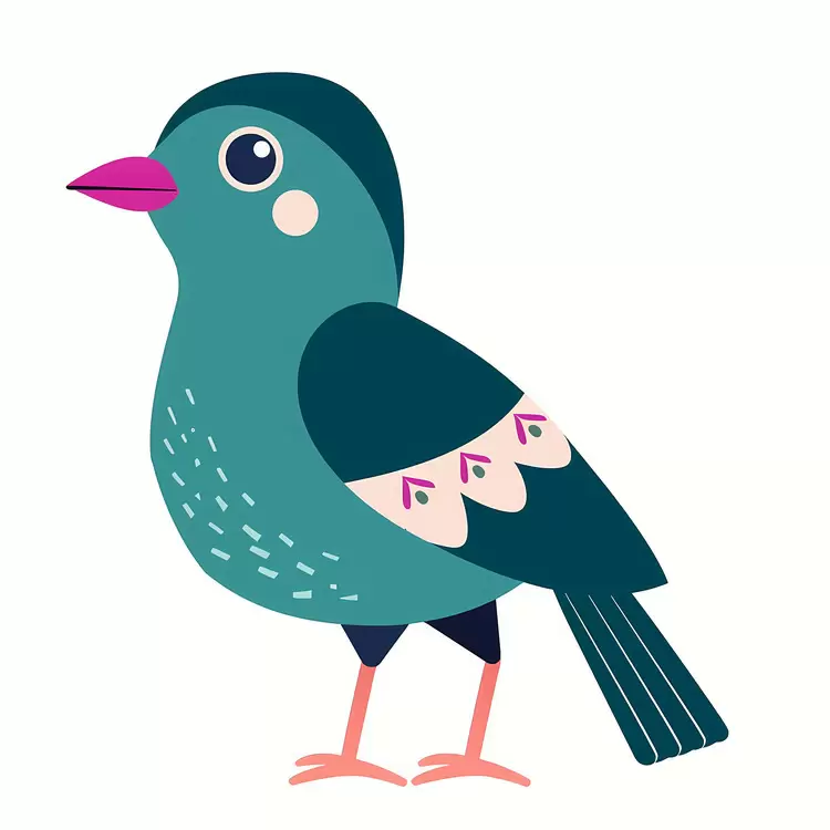 Cute bird cartoon bird