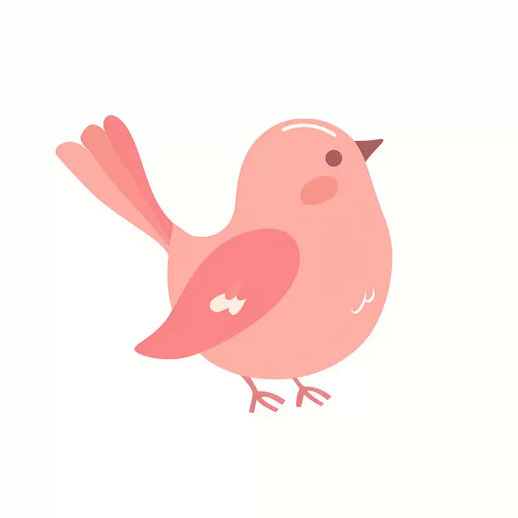 Cute bird cartoon bird
