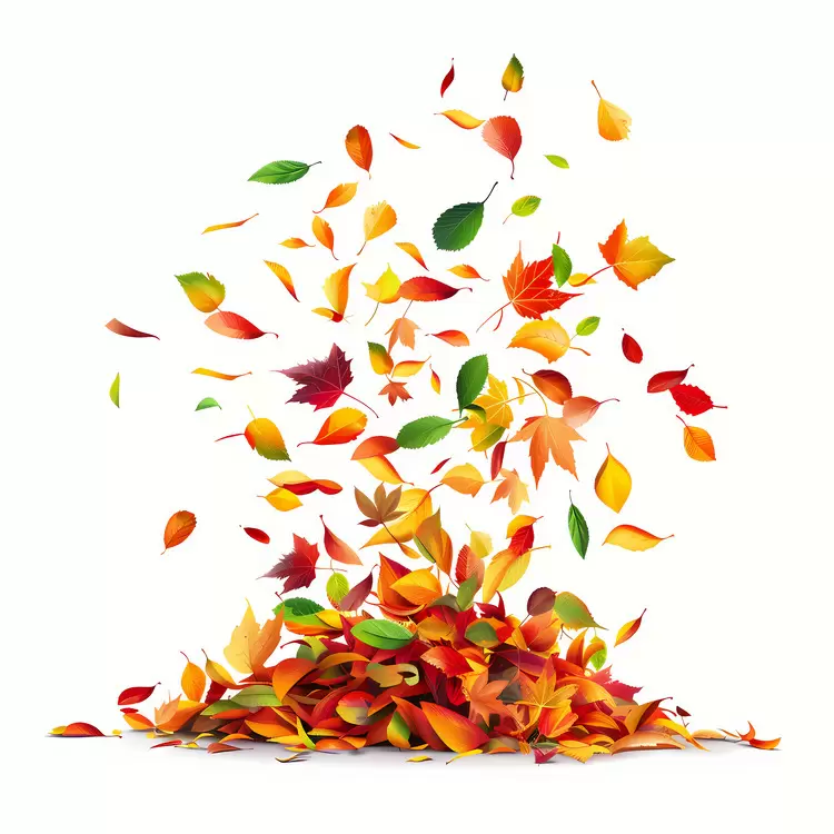 Fallen Leaves