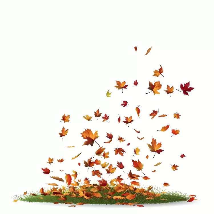 Fallen Leaves