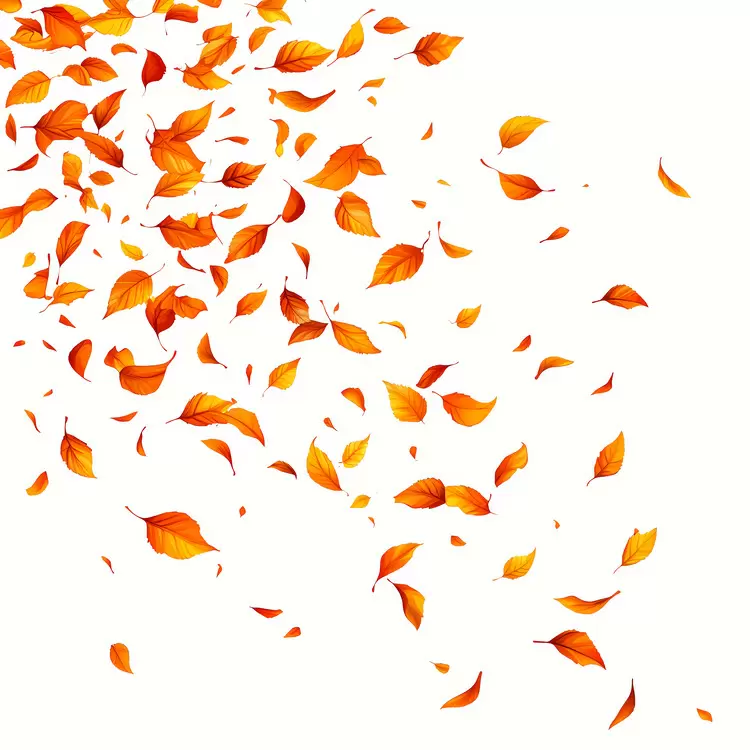 Falling Leaves