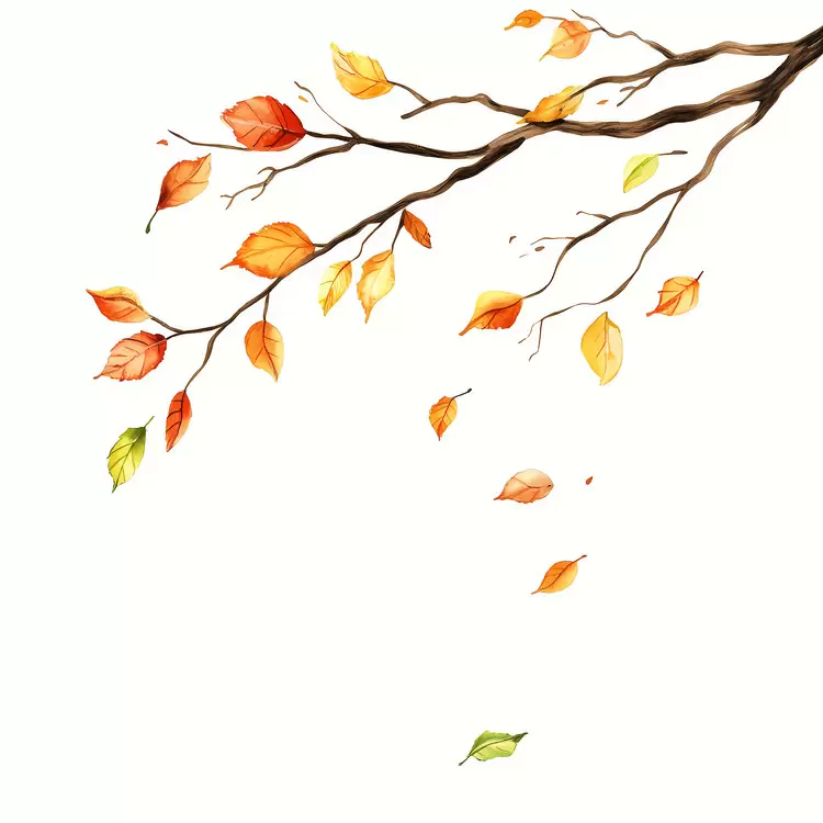Fallen Leaves