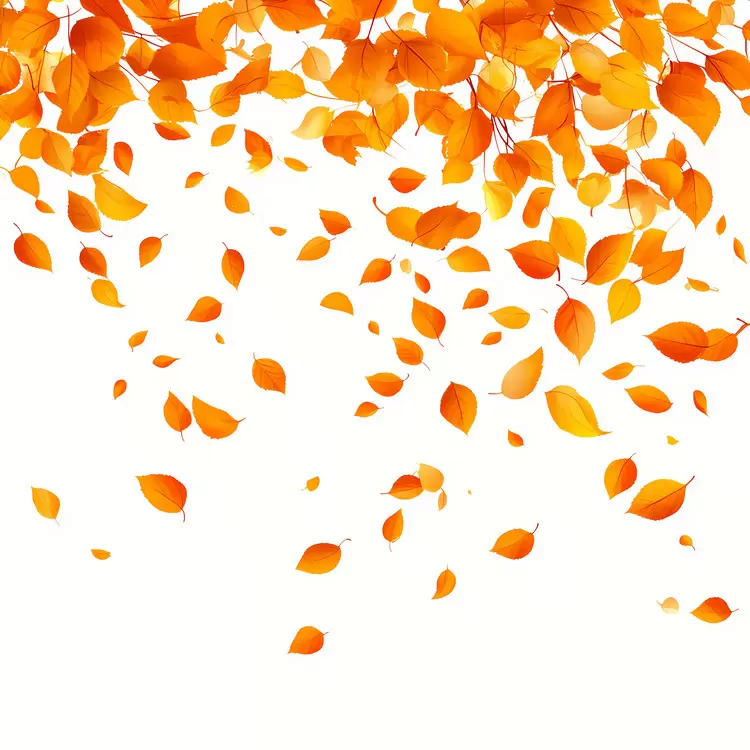 Fallen Leaves