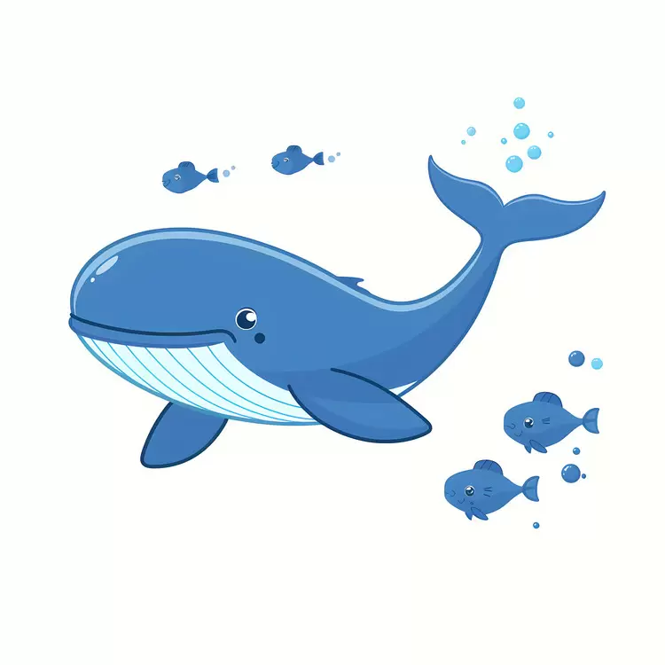 Whale And Fish
