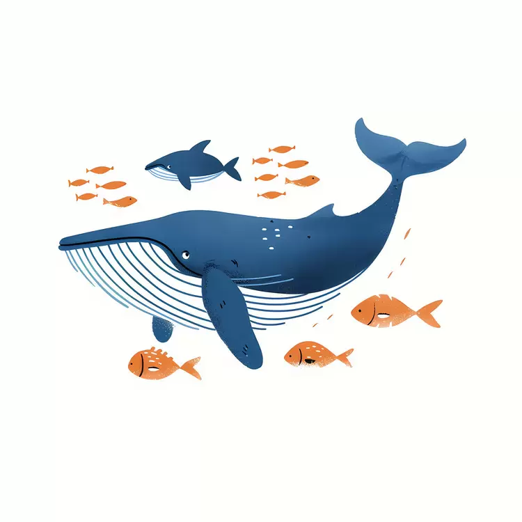 Whale And Fish