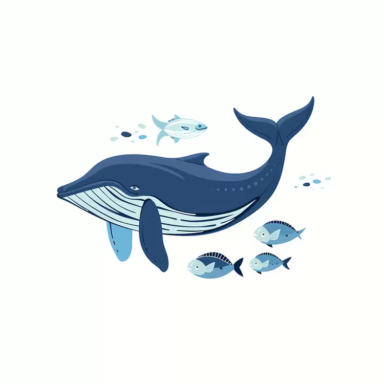Whale And Fish
