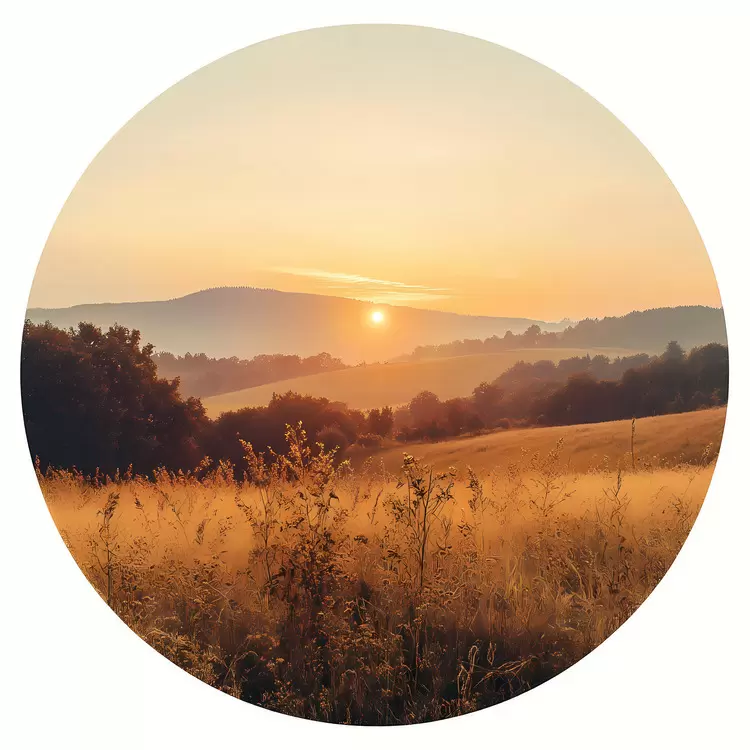 Sunrise Over Fields